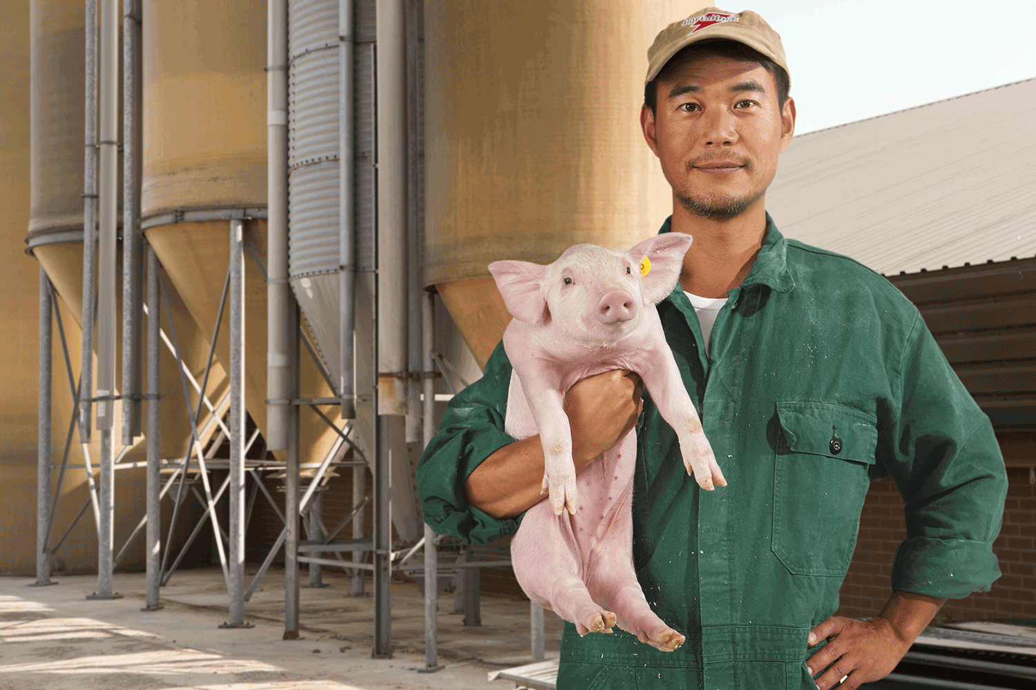 Éleveur avec porcelet dans les bras